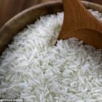 Rice Supplier - Papa Global