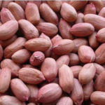 Peanuts Importer in Ghaziabad - Papa Global